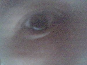 picture2934456.jpg